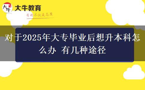 對(duì)于2025年大專畢業(yè)后想升本科怎么辦 有幾種途徑