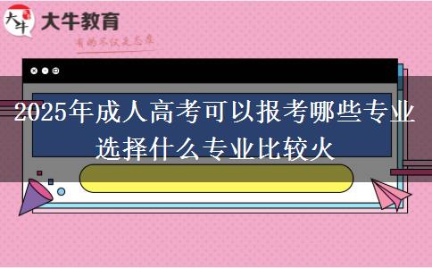 2025年成人高考可以報考哪些專業(yè) 選擇什么專業(yè)比較火