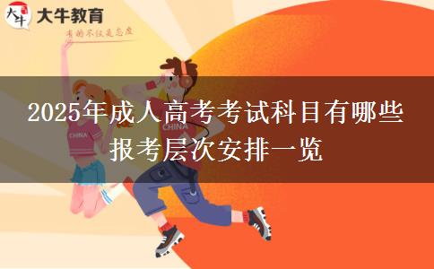 2025年成人高考考試科目有哪些 報(bào)考層次安排一覽