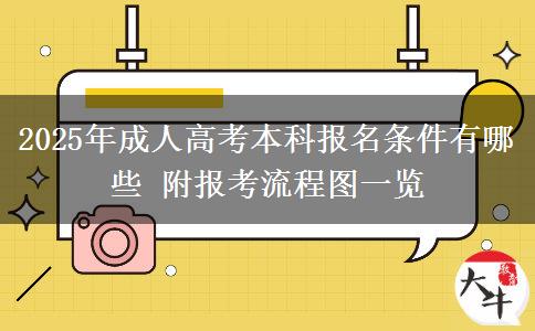 2025年成人高考本科報名條件有哪些 附報考流程圖一覽