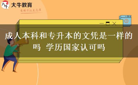 成人本科和專升本的文憑是一樣的嗎 學歷國家認可嗎