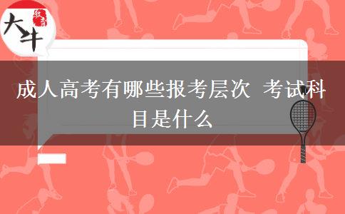 成人高考有哪些報考層次 考試科目是什么