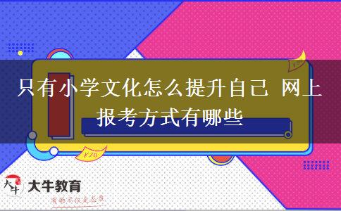 只有小學文化怎么提升自己 網上報考方式有哪些