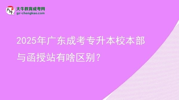 2025年廣東成考專升本校本部與函授站有啥區(qū)別？圖片