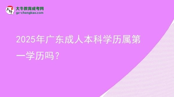2025年廣東成人本科學(xué)歷屬第一學(xué)歷嗎？圖片