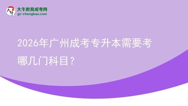 2026年廣州成考專升本需要考哪幾門科目？圖片