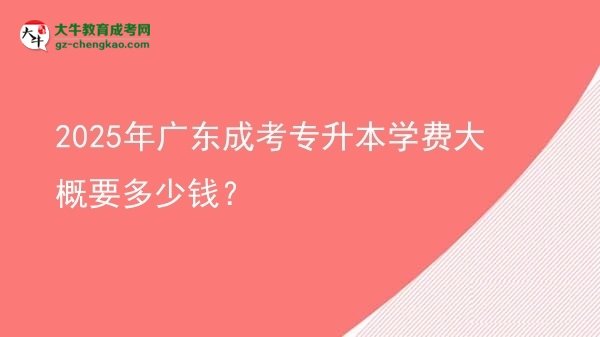 2025年廣東成考專升本學(xué)費(fèi)大概要多少錢？圖片