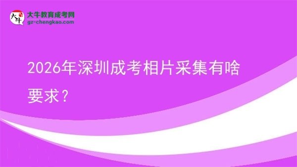 2026年深圳成考相片采集有啥要求?圖片