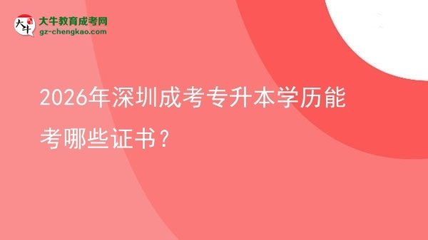 2026年深圳成考專(zhuān)升本學(xué)歷能考哪些證書(shū)？圖片
