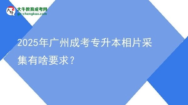 2025年廣州成考專升本相片采集有啥要求？圖片